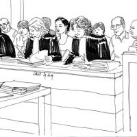 La partie civile dans le procès pénal